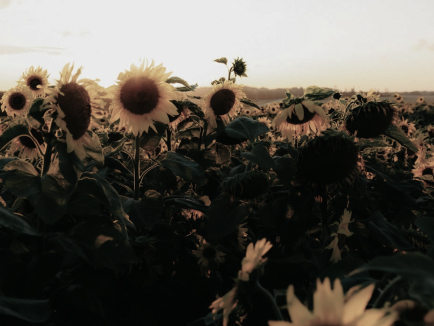 04 test